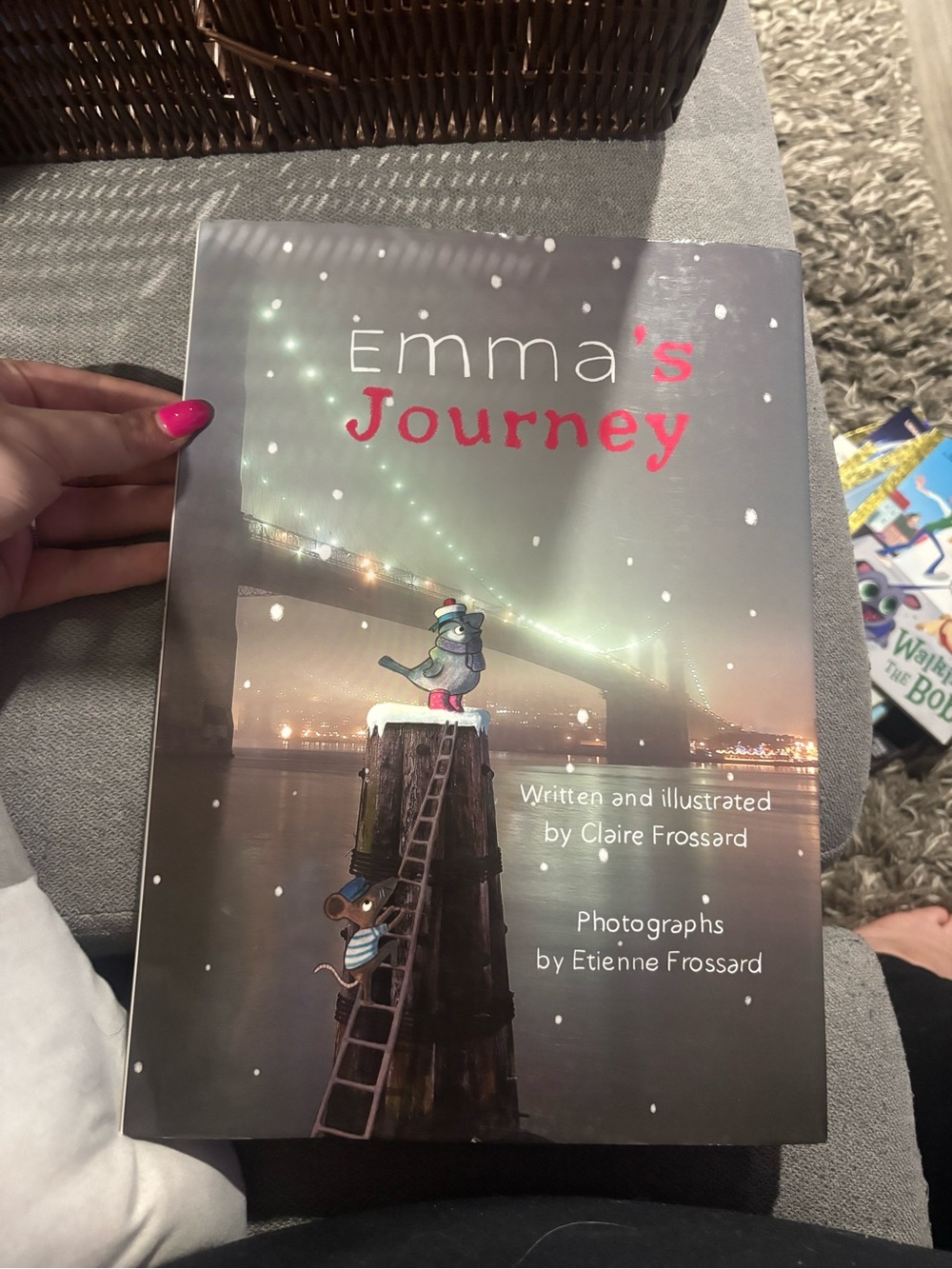 Emma's Journey Picture Book - Gray Cover with Red Title